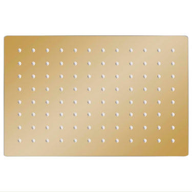 Vidaxl regendouchekop rechthoekig 30x20 cm roestvrij staal goudkleurig
