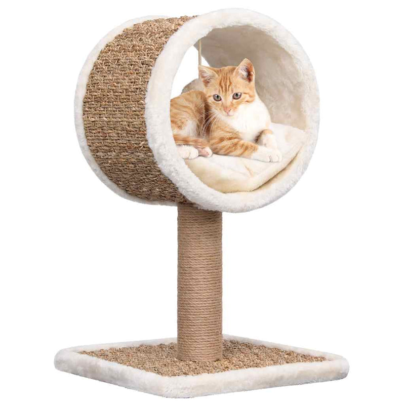 Load image into Gallery viewer, Vidaxl kattenmeubel met tunnel en speeltje 56 cm zeegras

