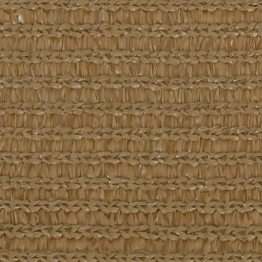 VidaXL Zonnezeil 160 g m² 5x6 m HDPE taupe