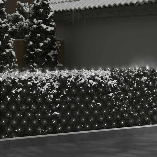 Vidaxl kerstnetverlichting 204 led's binnen en buiten 3x2 m koudwit