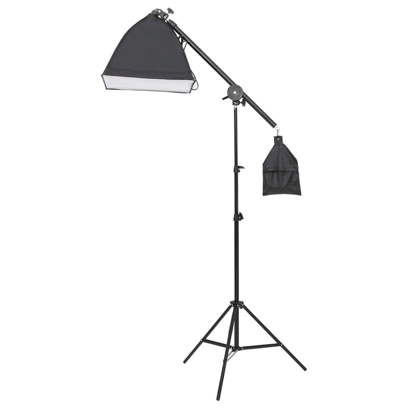 Load image into Gallery viewer, Vidaxl studioverlichtingsset met statief en softbox

