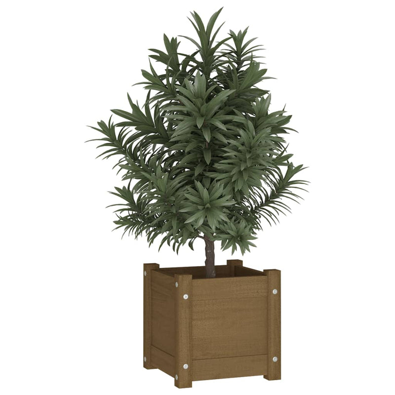 Load image into Gallery viewer, Vidaxl plantenbakken 2 st 31x31x31 cm massief grenenhout honingbruin

