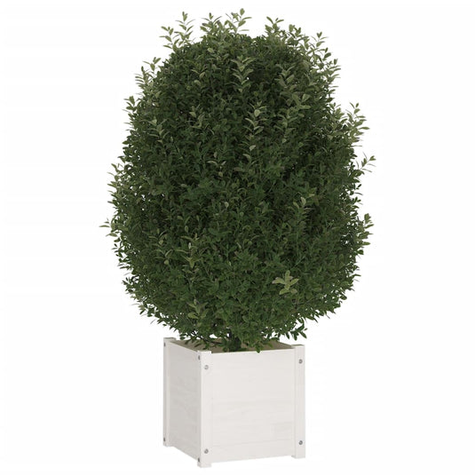 VidaXL Plantenbak 40x40x40 cm massief grenenhout wit