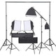 Vidaxl fotostudioset met verlichtingsset