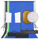 Vidaxl fotostudioset met verlichtingsset, achtergrond en reflector