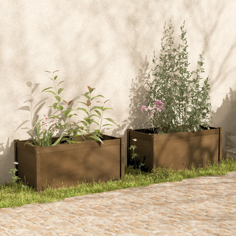 Load image into Gallery viewer, VidaXL Plantenbakken 2 st 100x50x50 cm massief grenenhout honingbruin

