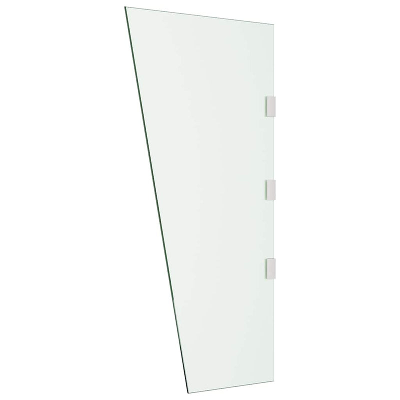 Afbeelding laden in galerijviewer, Vidaxl zijpaneel voor deurluifel 50x100 cm gehard glas transparant
