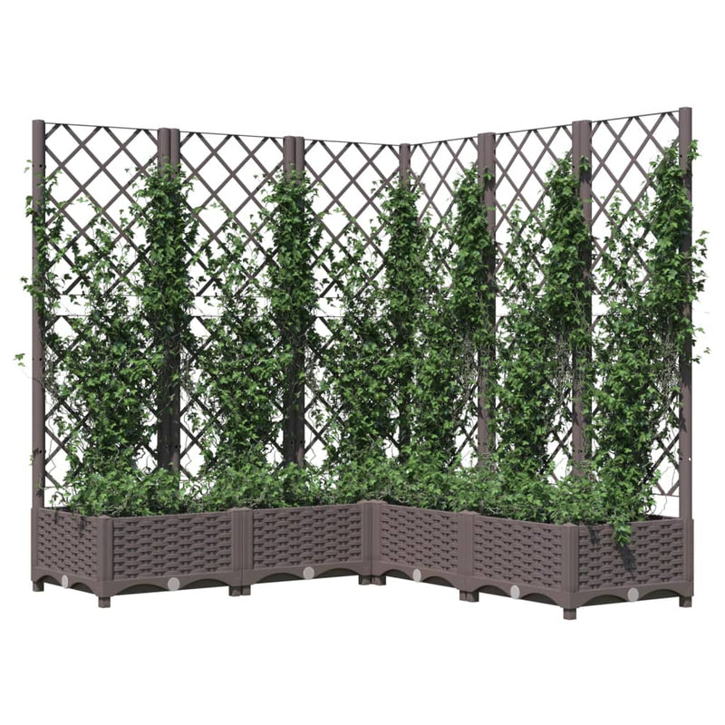 Load image into Gallery viewer, Vidaxl plantenbak met latwerk 120x120x121,5 cm polypropeen bruin
