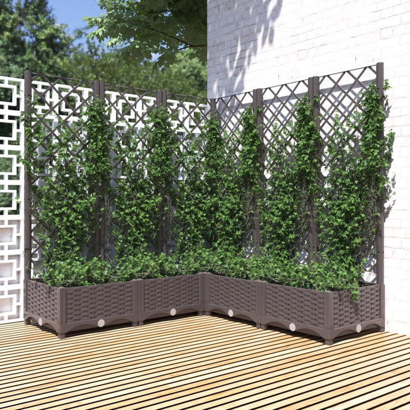 Load image into Gallery viewer, Vidaxl plantenbak met latwerk 120x120x121,5 cm polypropeen bruin
