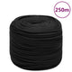 Vidaxl boottouw 6 mm 250 m polypropeen zwart