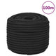 Vidaxl boottouw 12 mm 100 m polypropeen zwart