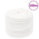 Vidaxl boottouw 14 mm 100 m polypropyleen volwit