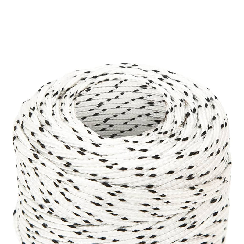 Load image into Gallery viewer, Vidaxl boottouw gevlochten 2 mmx100 m polyester wit
