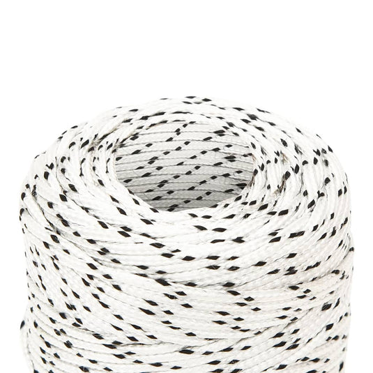 Vidaxl boottouw gevlochten 2 mmx100 m polyester wit