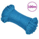 Vidaxl werktouw 8 mm 100 m polypropeen blauw