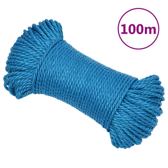 Vidaxl werktouw 8 mm 100 m polypropeen blauw