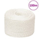 Vidaxl werktouw 10 mm 100 m polypropeen wit