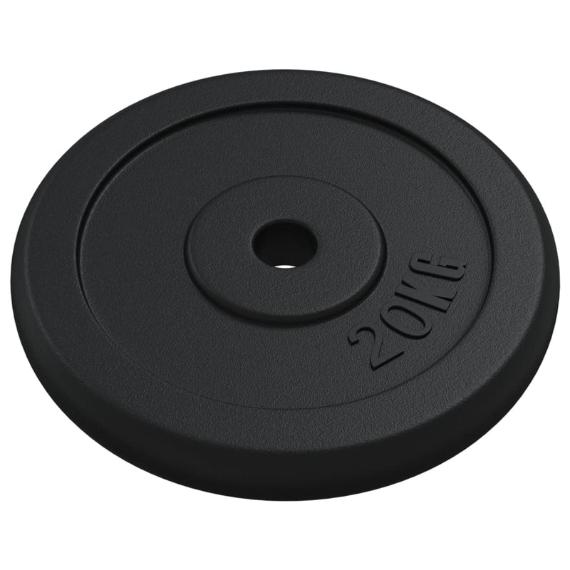Load image into Gallery viewer, Vidaxl halterschijf 20 kg gietijzer

