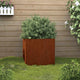 Vidaxl plantenbak 49x47x46 cm cortenstaal