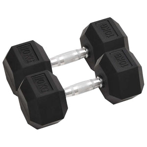 Vidaxl halters 2 st 20 kg totaal gietijzer