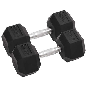 Vidaxl halters 2 st 25 kg totaal gietijzer