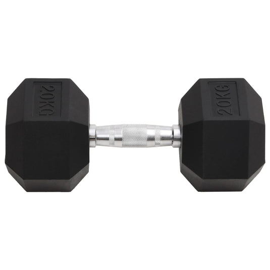 Vidaxl halters 20 kg gietijzer