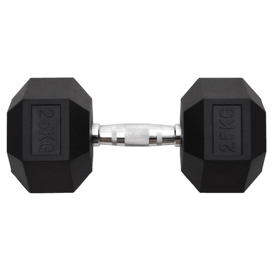 Vidaxl halters 25 kg gietijzer