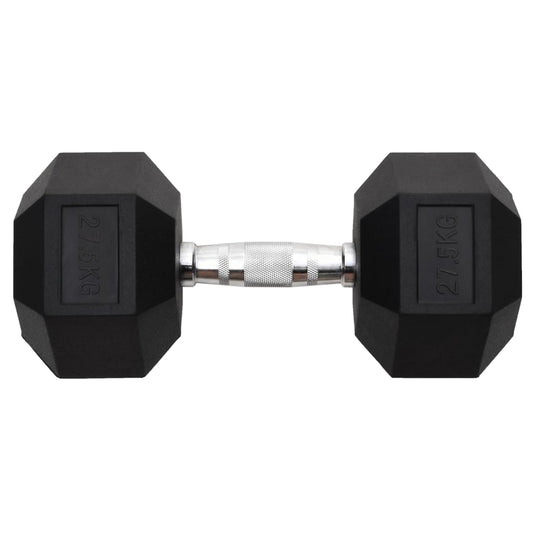 Vidaxl halters 27,5 kg gietijzer