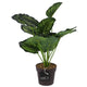 Mica decorations kunstplant calathea in pot groen 40 cm