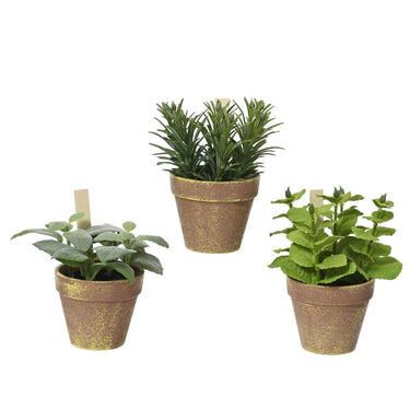 Decoris plant in pot 15x15x17cm plastic 3 asssorti