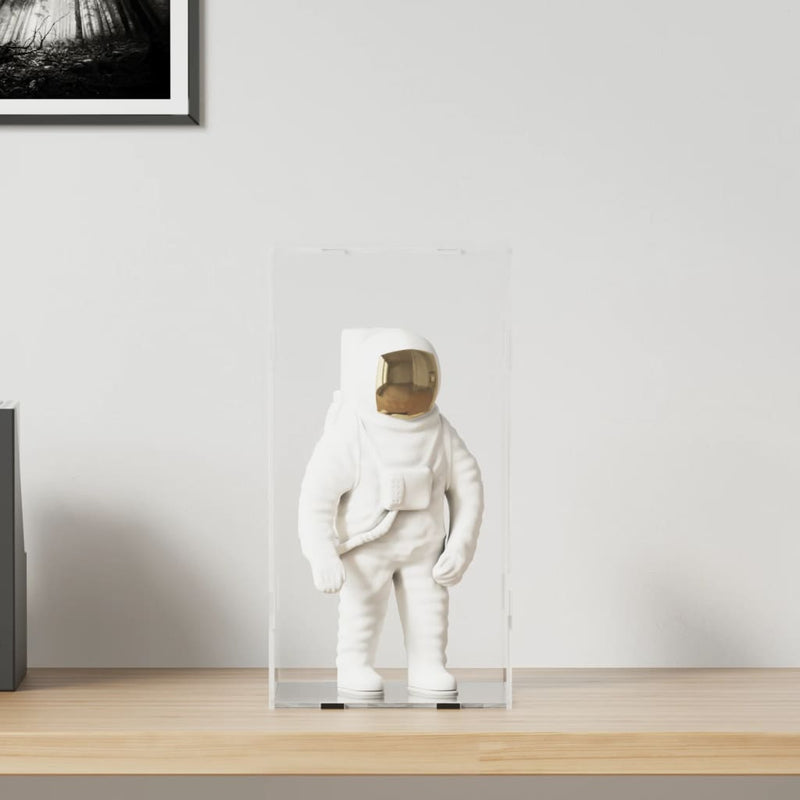 Load image into Gallery viewer, Vidaxl displaybox transparant 20x20x38 cm acryl
