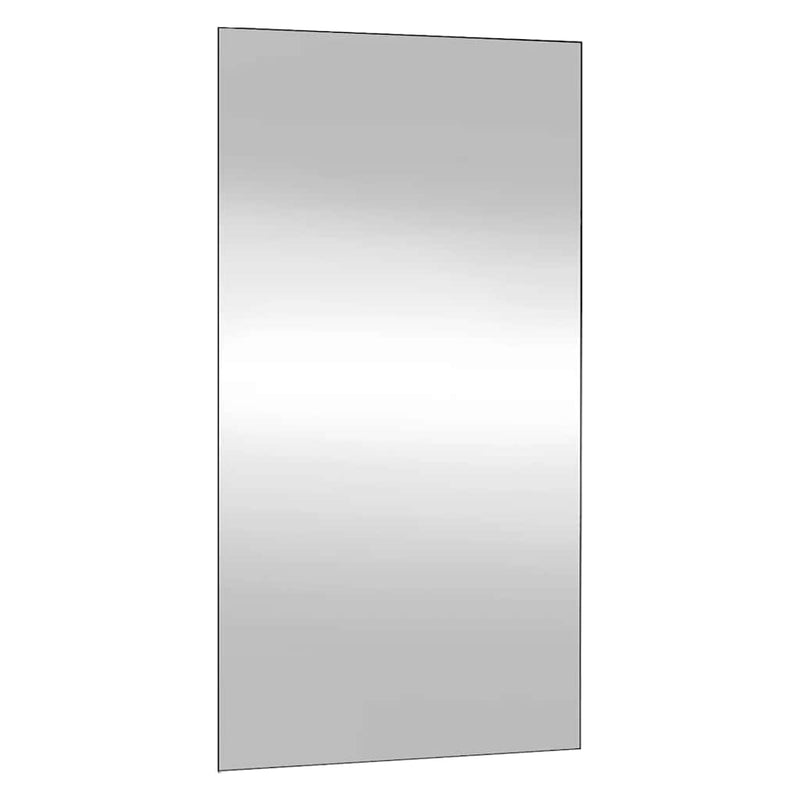 Load image into Gallery viewer, Vidaxl wandspiegel 50x100 cm rechthoekig glas
