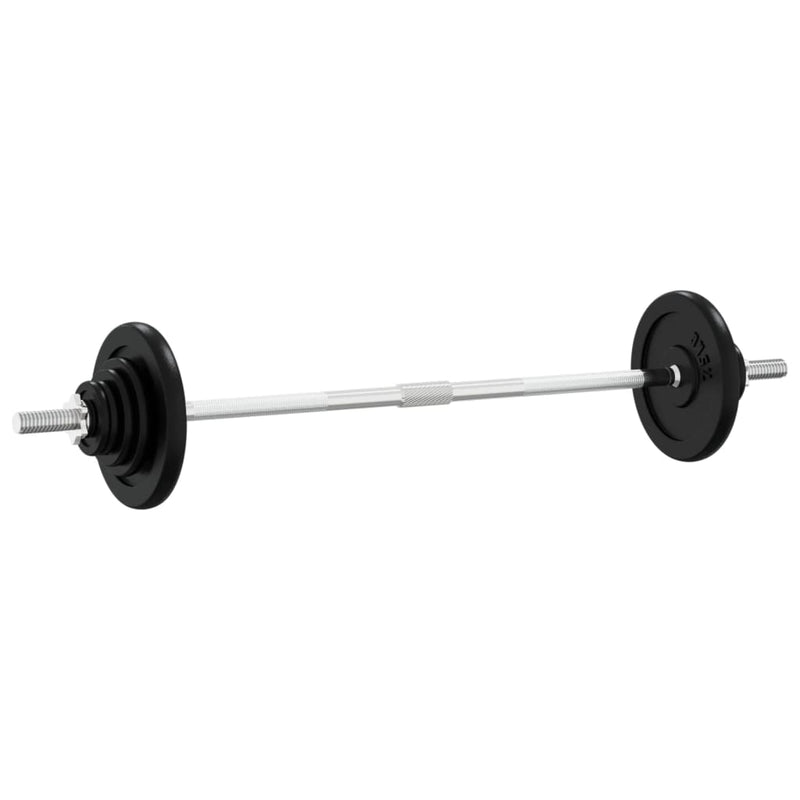 Load image into Gallery viewer, VidaXL Halter met gewichten 60 kg gietijzer
