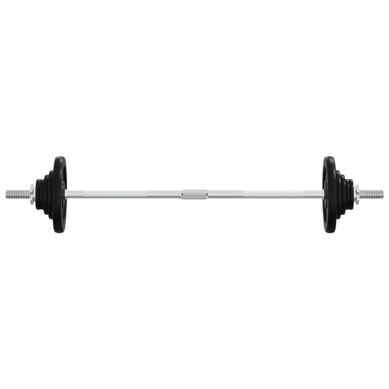 Load image into Gallery viewer, VidaXL Halter met gewichten 90 kg gietijzer
