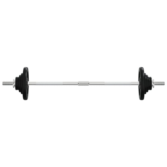 VidaXL Halter met gewichten 90 kg gietijzer