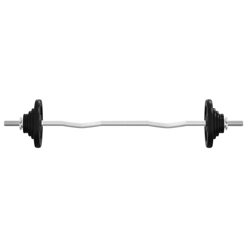 Load image into Gallery viewer, VidaXL Halter met gewichten 90 kg gietijzer en verchroomd staal
