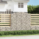 VidaXL Schanskorven 2 st gewelfd 200x30x200 220 cm ijzer