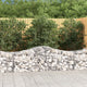 VidaXL Schanskorven 8 st gewelfd 200x50x60 80 cm gegalvaniseerd ijzer