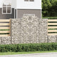 VidaXL Schanskorven 5 st gewelfd 200x30x160 180 cm ijzer