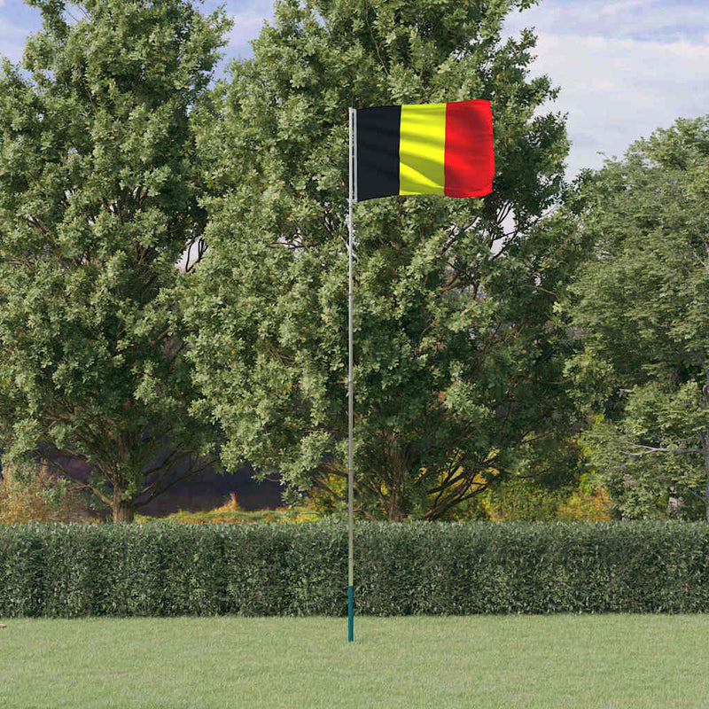 Load image into Gallery viewer, Vidaxl vlag met vlaggenmast belgië 5,5 m aluminium
