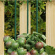 Vidaxl plantenstaken 30 st 90 cm staal groen