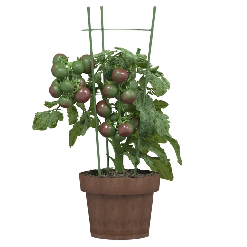 ギャラリービューアに画像をロードする, Vidaxl plantensteunen 5 st met 3 ringen 45 cm staal groen

