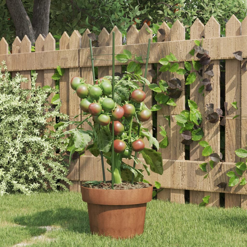 ギャラリービューアに画像をロードする, Vidaxl plantensteunen 5 st met 3 ringen 45 cm staal groen
