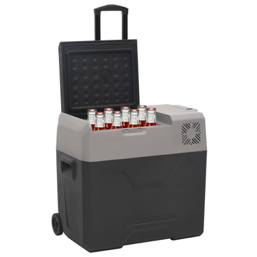 Vidaxl koelbox met wielen en handvat 30 l polypropeen zwart en grijs