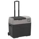 Vidaxl koelbox met wielen en handvat 40 l polypropeen zwart en grijs