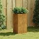 Vidaxl plantenbak 40x40x80 cm cortenstaal