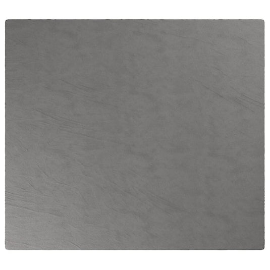 Vidaxl verzwaringsdeken met hoes 200x220 cm 13 kg stof grijs
