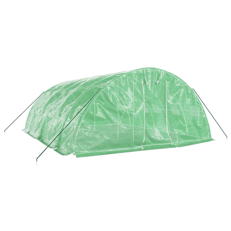 Load image into Gallery viewer, VidaXL Tuinkas met stalen frame 30 m² 6x5x2,3 m groen
