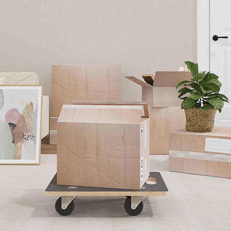 Load image into Gallery viewer, Vidaxl meubelhondjes 2 st rechthoekig 250 kg 50x35x11,5 cm
