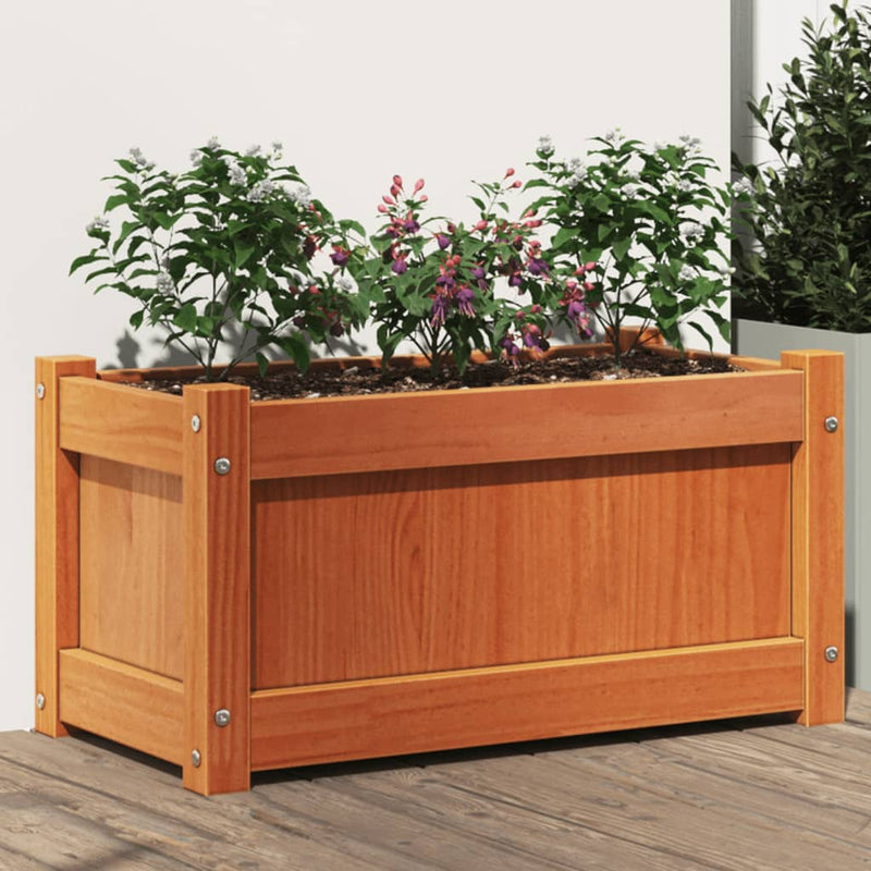 Load image into Gallery viewer, Vidaxl plantenbak 60x31x31 cm massief grenenhout wasbruin
